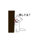 Meowshmallow（個別スタンプ：8）