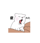 Meowshmallow（個別スタンプ：13）