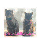 チル＆ロゼ②（個別スタンプ：10）