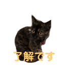 チル＆ロゼ②（個別スタンプ：11）