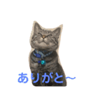 チル＆ロゼ②（個別スタンプ：13）