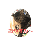 チル＆ロゼ②（個別スタンプ：14）