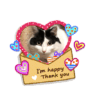 猫のもふさんスタンプその1（個別スタンプ：5）