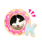 猫のもふさんスタンプその1（個別スタンプ：14）