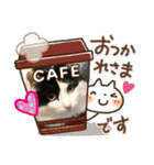 猫のもふさんスタンプその1（個別スタンプ：25）
