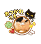 猫のもふさんスタンプその1（個別スタンプ：26）