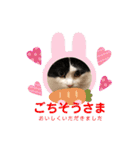 猫のもふさんスタンプその1（個別スタンプ：39）