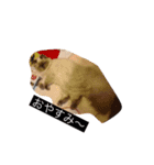 猫プリンのスタンプ（個別スタンプ：7）