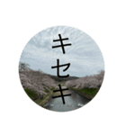 約束事（個別スタンプ：2）