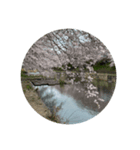 約束事（個別スタンプ：4）
