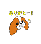 こむぎのお店のスタンプ（個別スタンプ：3）
