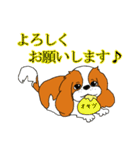 こむぎのお店のスタンプ（個別スタンプ：6）