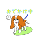 こむぎのお店のスタンプ（個別スタンプ：17）