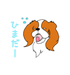 こむぎのお店のスタンプ（個別スタンプ：19）