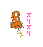 こむぎのお店のスタンプ（個別スタンプ：25）