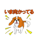 こむぎのお店のスタンプ（個別スタンプ：28）