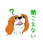 こむぎのお店のスタンプ（個別スタンプ：30）