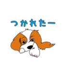 こむぎのお店のスタンプ（個別スタンプ：31）