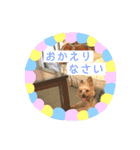 はっぴーくーちゃん！（個別スタンプ：3）