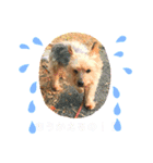 はっぴーくーちゃん！（個別スタンプ：4）