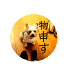 はっぴーくーちゃん！（個別スタンプ：5）