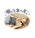 ナック＆キック（個別スタンプ：2）
