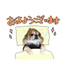 ナック＆キック（個別スタンプ：5）