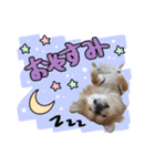 ナック＆キック（個別スタンプ：6）