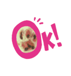ちゃちゃばろすたんぷ（個別スタンプ：6）