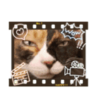 ちゃちゃばろすたんぷ（個別スタンプ：9）