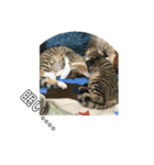 麦＆とら（個別スタンプ：2）