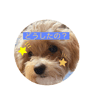 音叶ちゃんスタンプ（個別スタンプ：7）