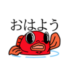 金魚屋の書いた金魚挨拶（個別スタンプ：5）