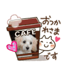 ティアメロ（個別スタンプ：3）