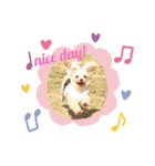 ティアメロ（個別スタンプ：15）