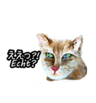 日常用語04（日本語、ドイツ語）（個別スタンプ：1）