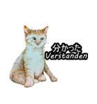 日常用語04（日本語、ドイツ語）（個別スタンプ：4）