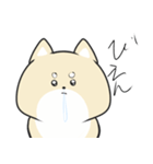 ぴえんなびえんいぬ（個別スタンプ：1）