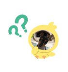 ミニピンビビ（個別スタンプ：6）