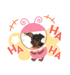 ミニピンビビ（個別スタンプ：7）