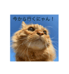 バロンとジャックの日常（個別スタンプ：1）
