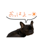 フレブルのラフくん2（個別スタンプ：8）