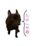 フレブルのラフくん2（個別スタンプ：11）
