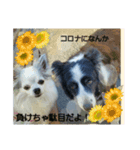 moco5（個別スタンプ：8）