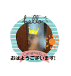 かわいい猫のプッチとみかん4（個別スタンプ：1）