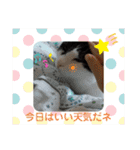 かわいい猫のプッチとみかん4（個別スタンプ：2）