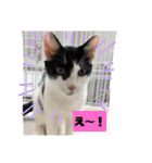 かわいい猫のプッチとみかん4（個別スタンプ：7）