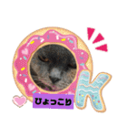 かわいい猫のプッチとみかん4（個別スタンプ：12）