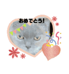 かわいい猫のプッチとみかん4（個別スタンプ：20）