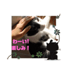 かわいい猫のプッチとみかん4（個別スタンプ：23）